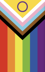 Vertical Inclusive Pride Flag